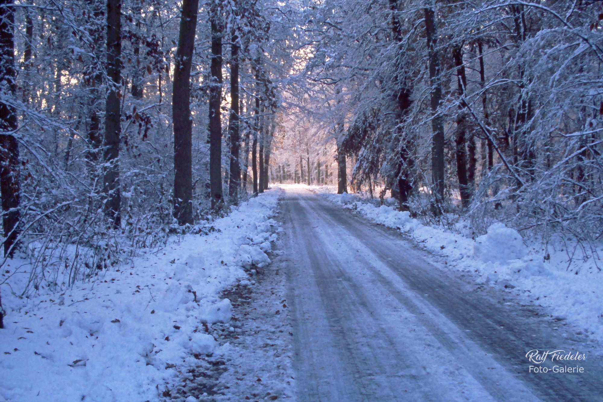 Die Krongutsallee in Richtung zum Forsthaus Upjever im Schnee