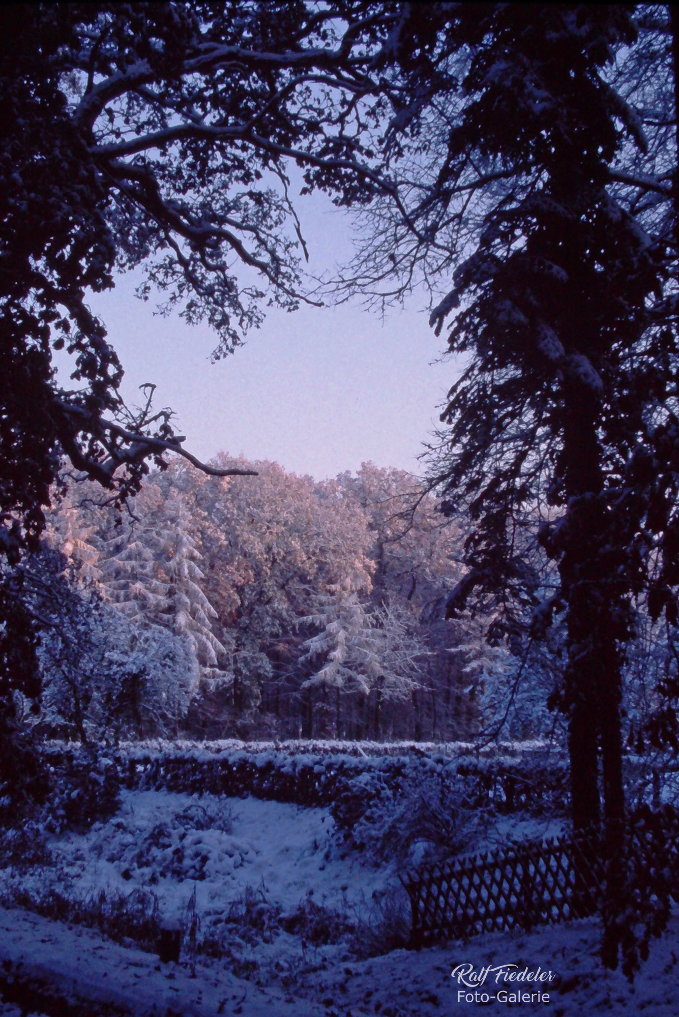 Garten vom Forsthaus Upjever durch Baumrahmen im Schnee
