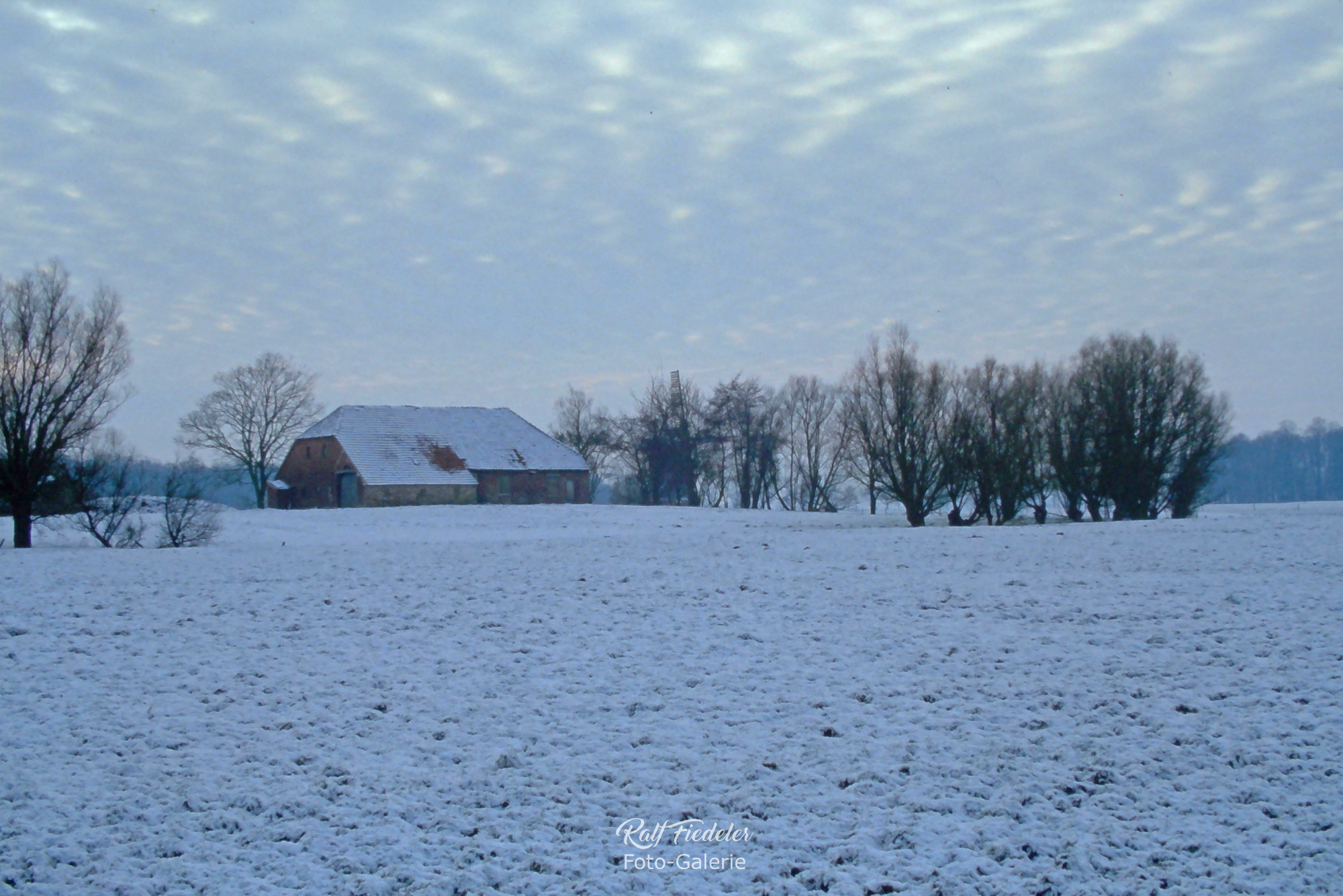 Bauernhaus mit der Wedeler Wasserschöpfmühe hinter Bäumen im Schnee