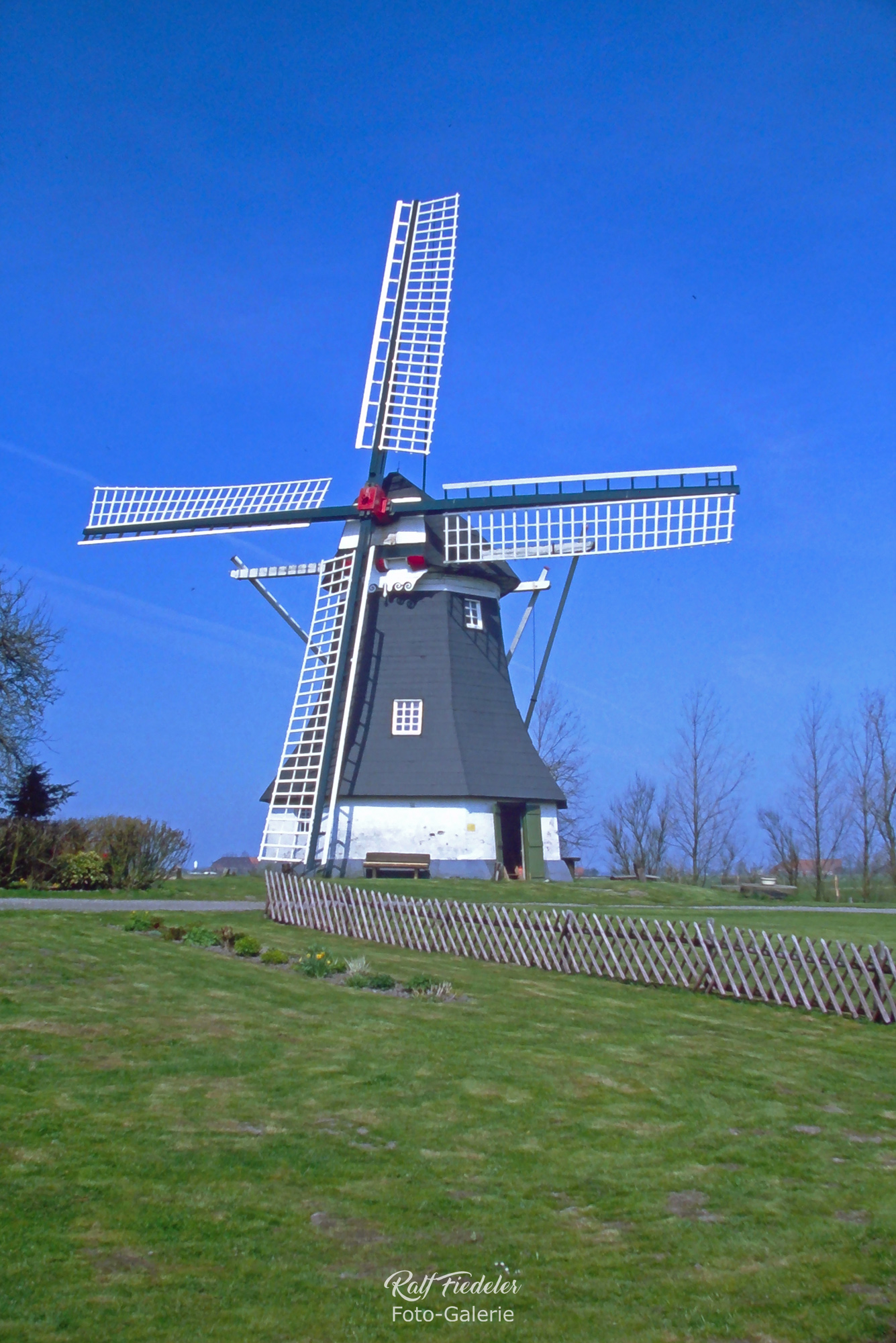 Werdumer Windmühle im Sonnenschein