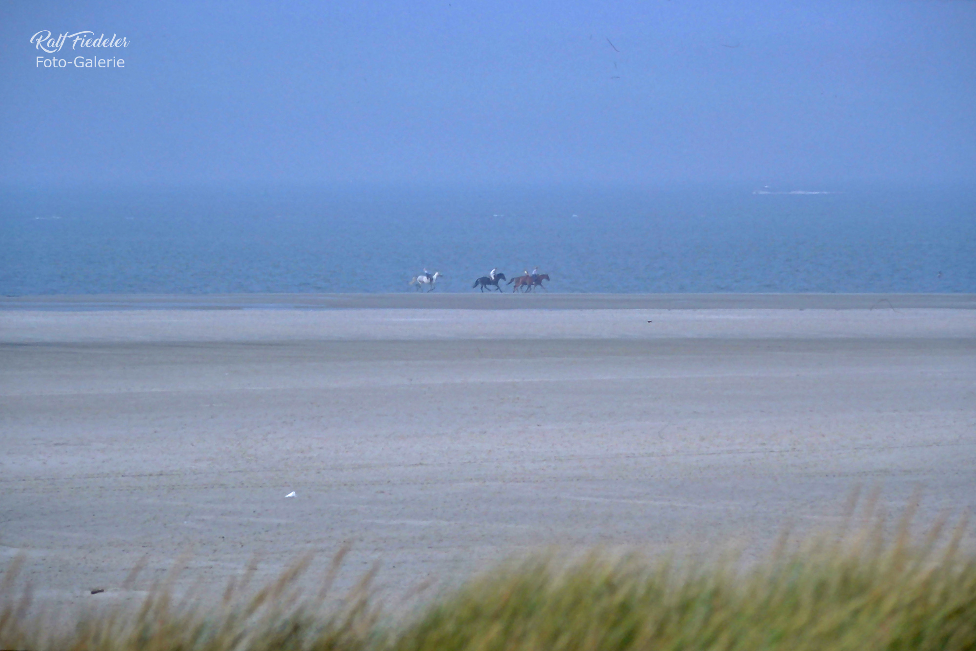 Drei Reiter auf Langeoog am Strand