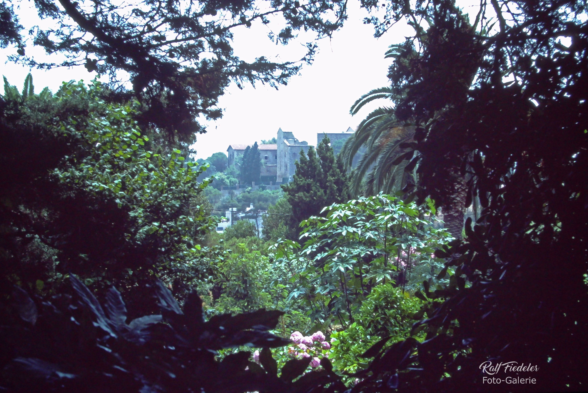 Gemäuer eingerahmt von Gewächsen im botanischen Garten in Blanes