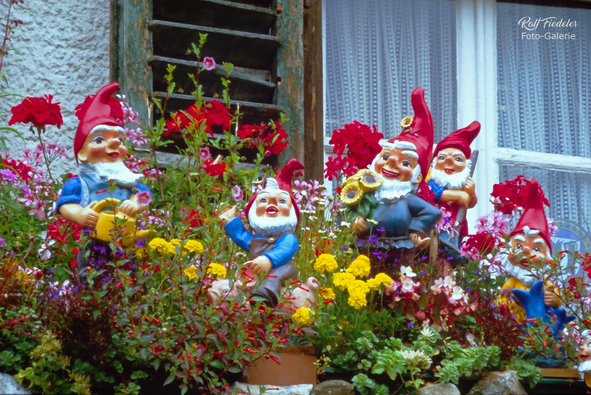 Teilausschnitt von Gartenzwergen auf einem Abdach in Interlaken