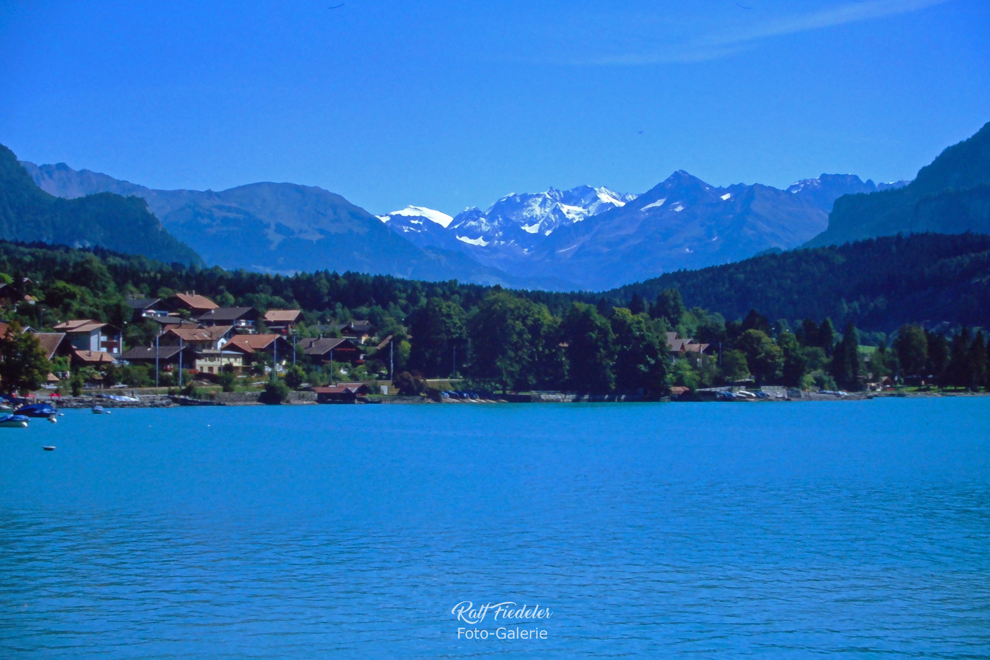 Thunersee mit Berge im Hintergrund