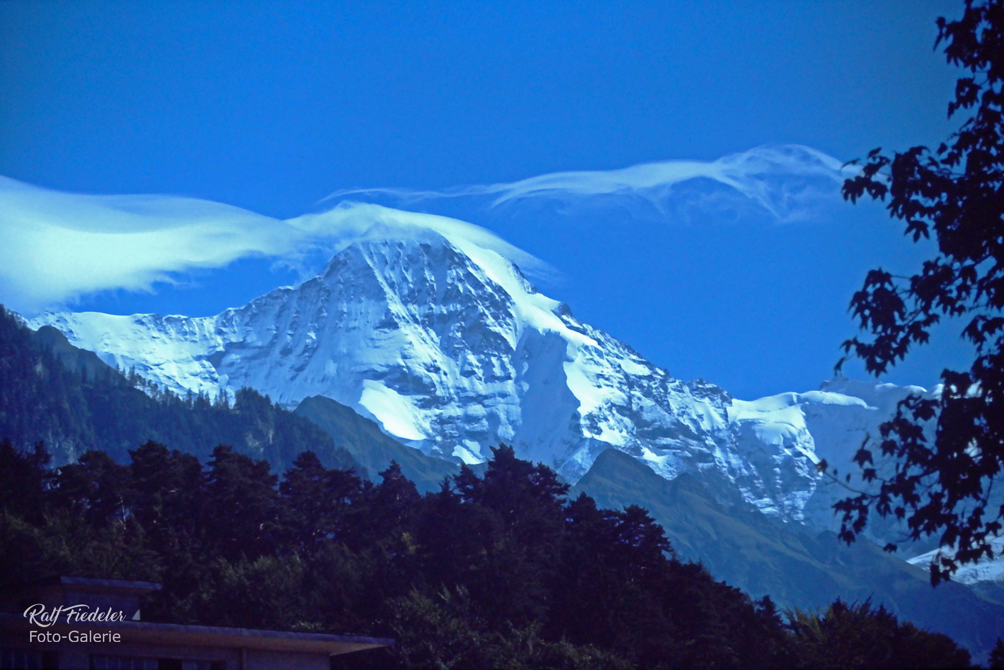 Mönch im Schnee sehr nah