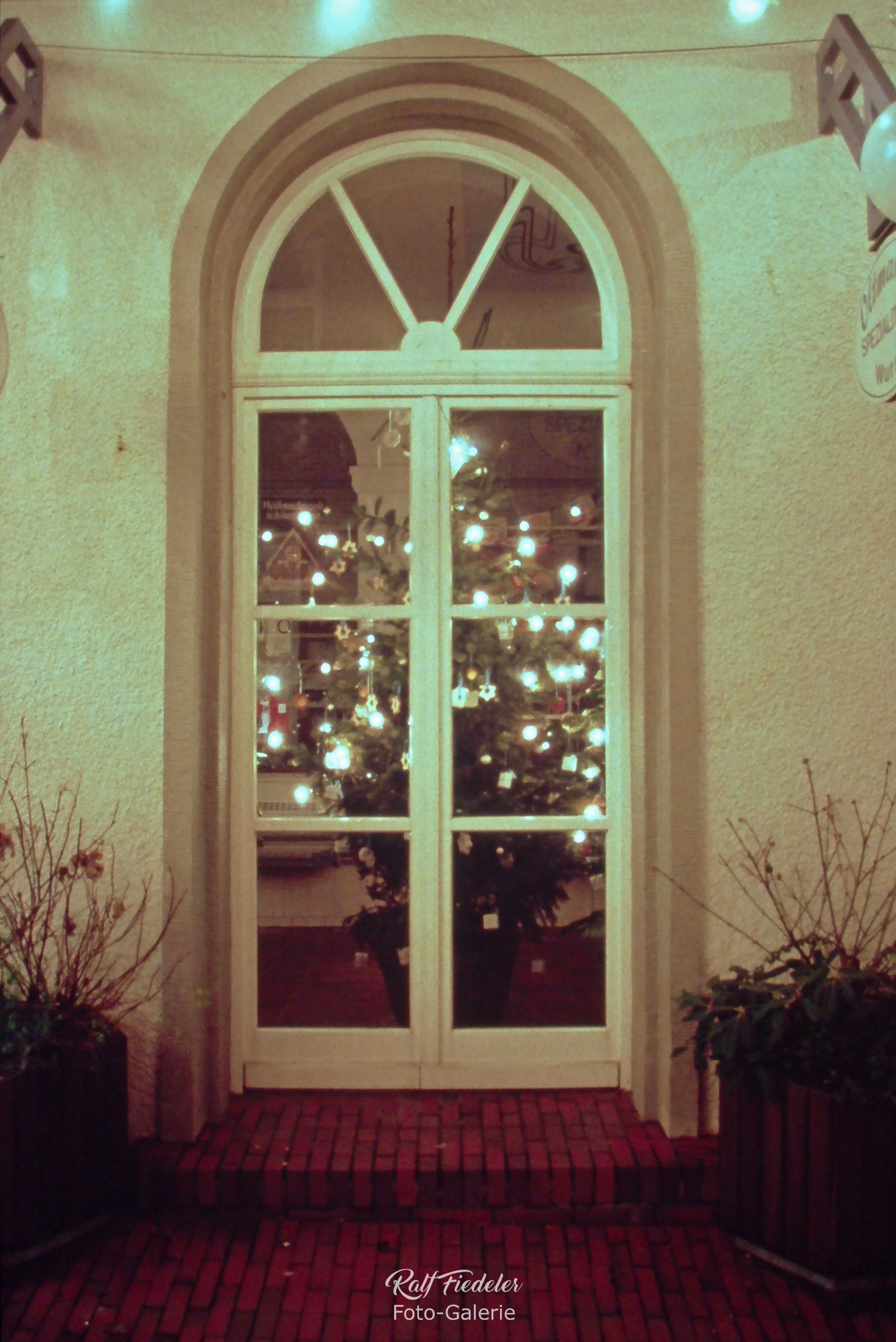 Fenster vom Café & Bistro de Mood in Jever mit beleuchtetem Weihnachtsbaum