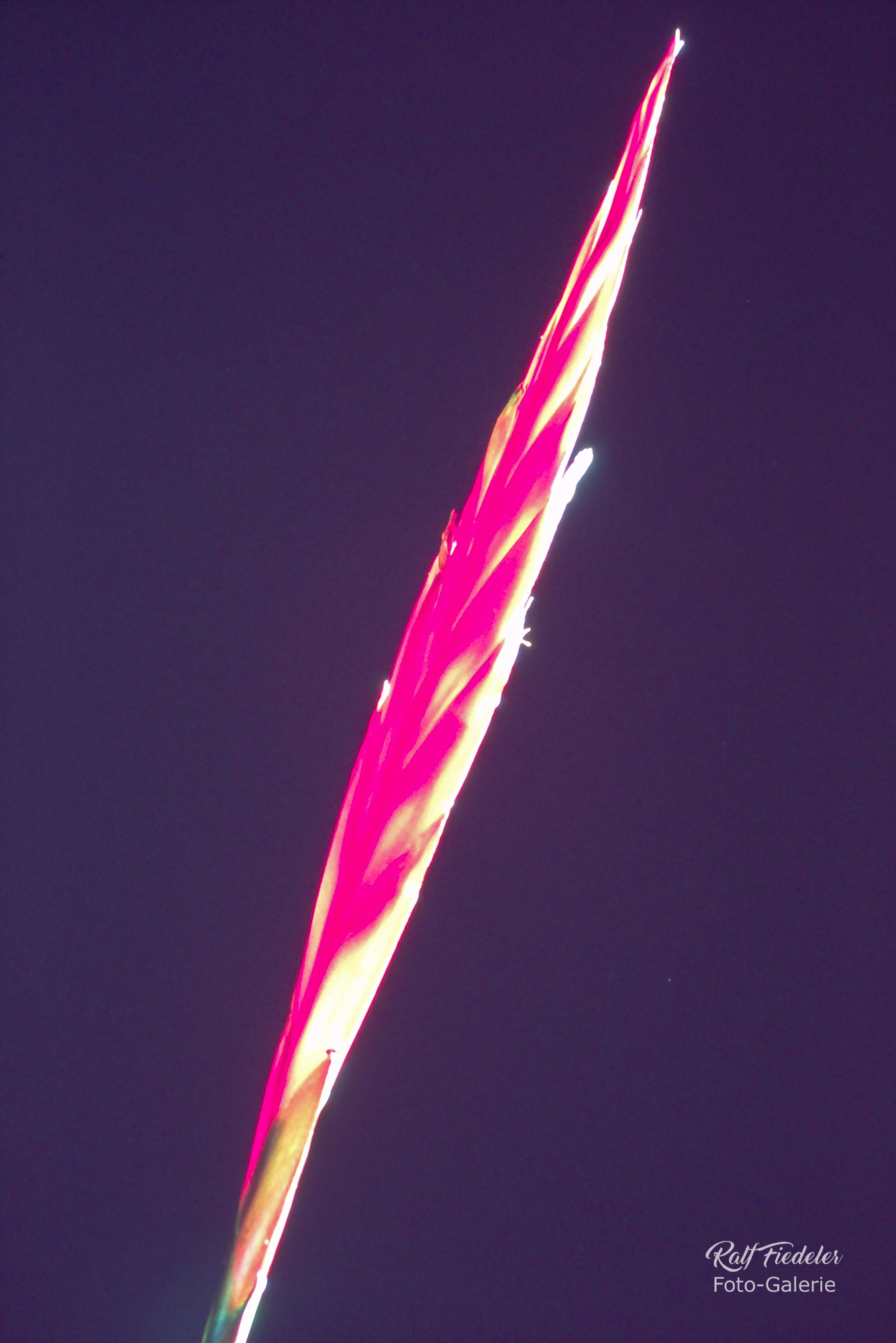 Flammendes Schwert mit schwarzem Hintergrund und seitlicher Beleuchtung