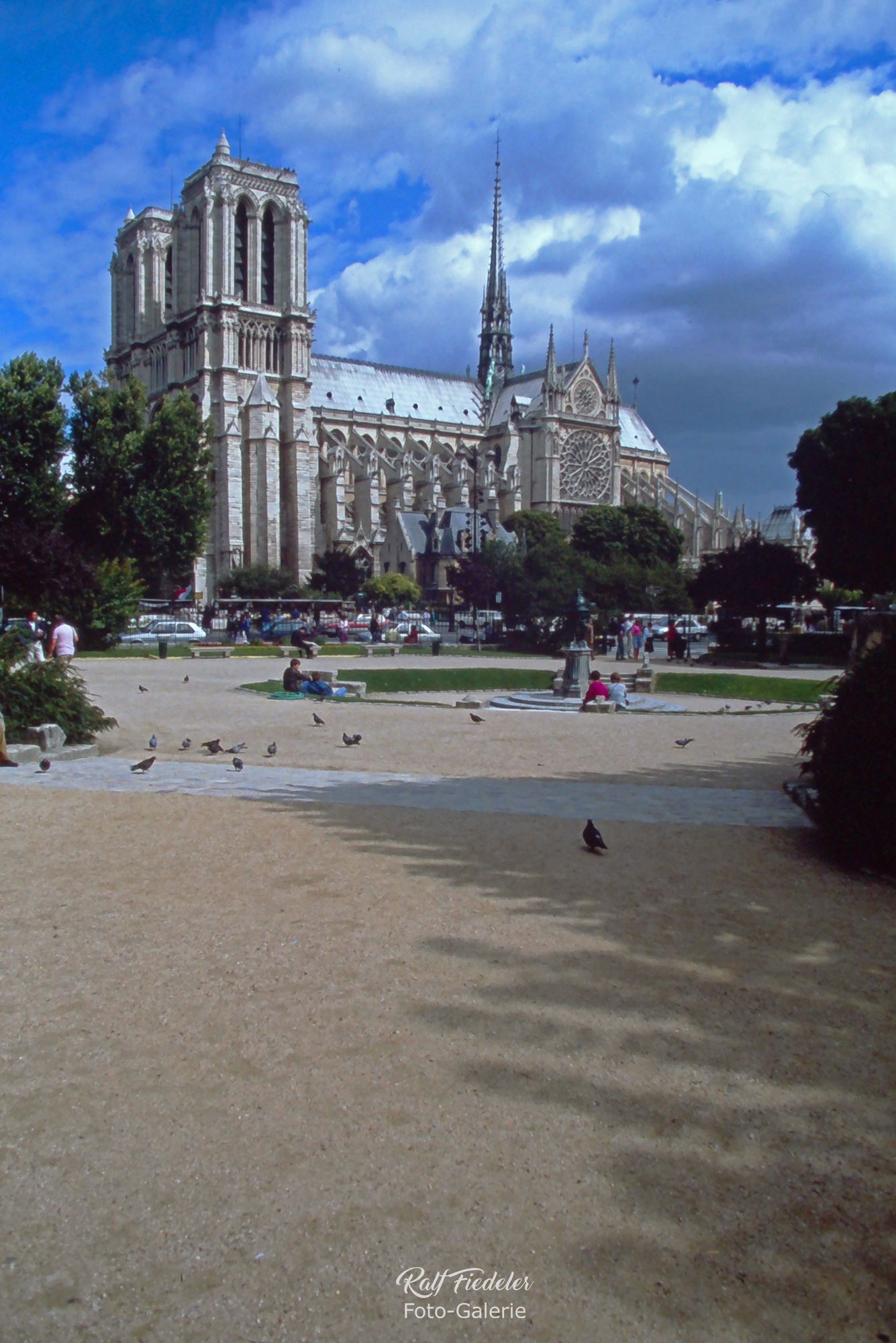 Kathedrale Notre-Dame in Paris vom Saint-Julien-Le-Pauvre-Brunnen aus