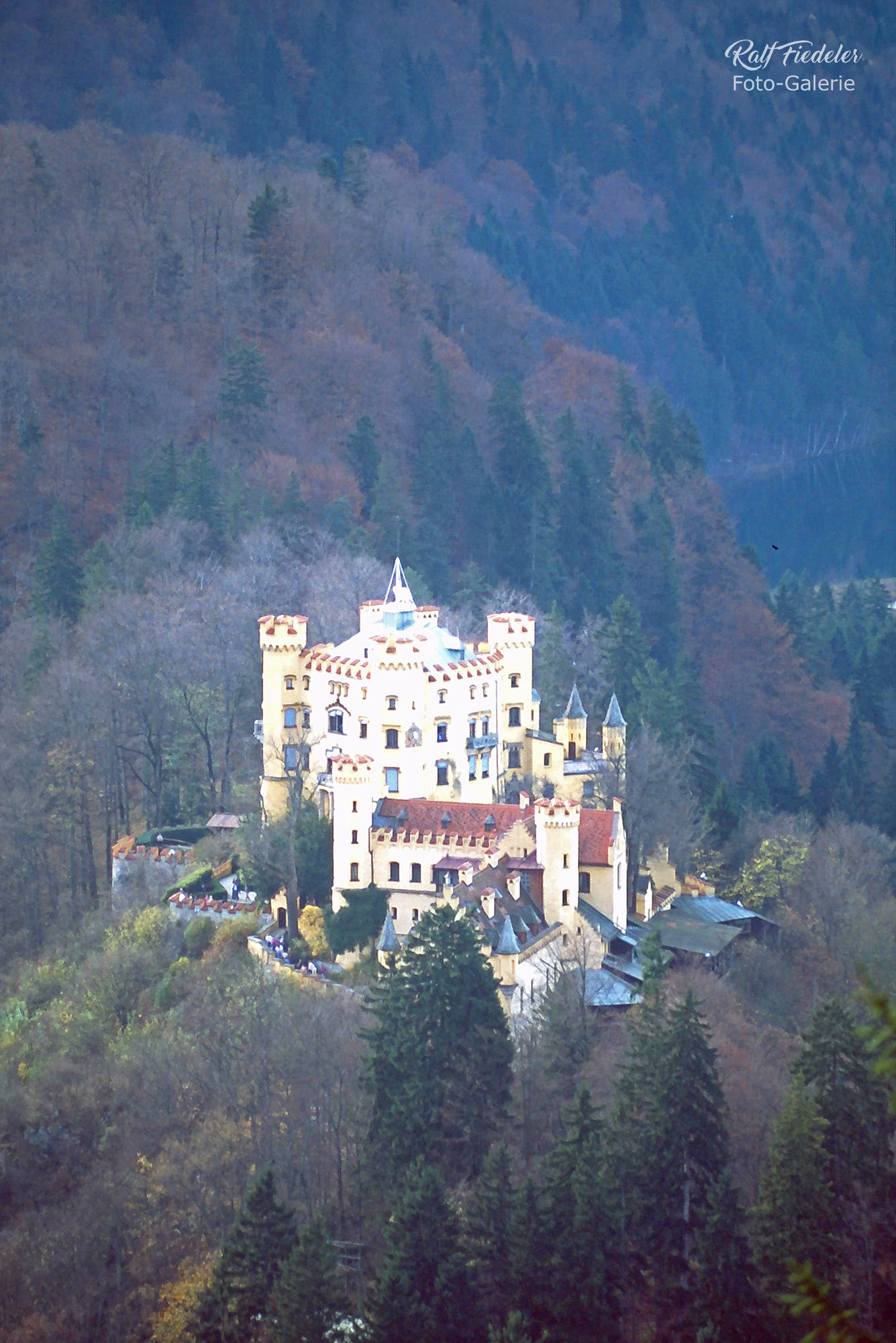 Schloss Hohenschwangau von schräg oben weiter weg
