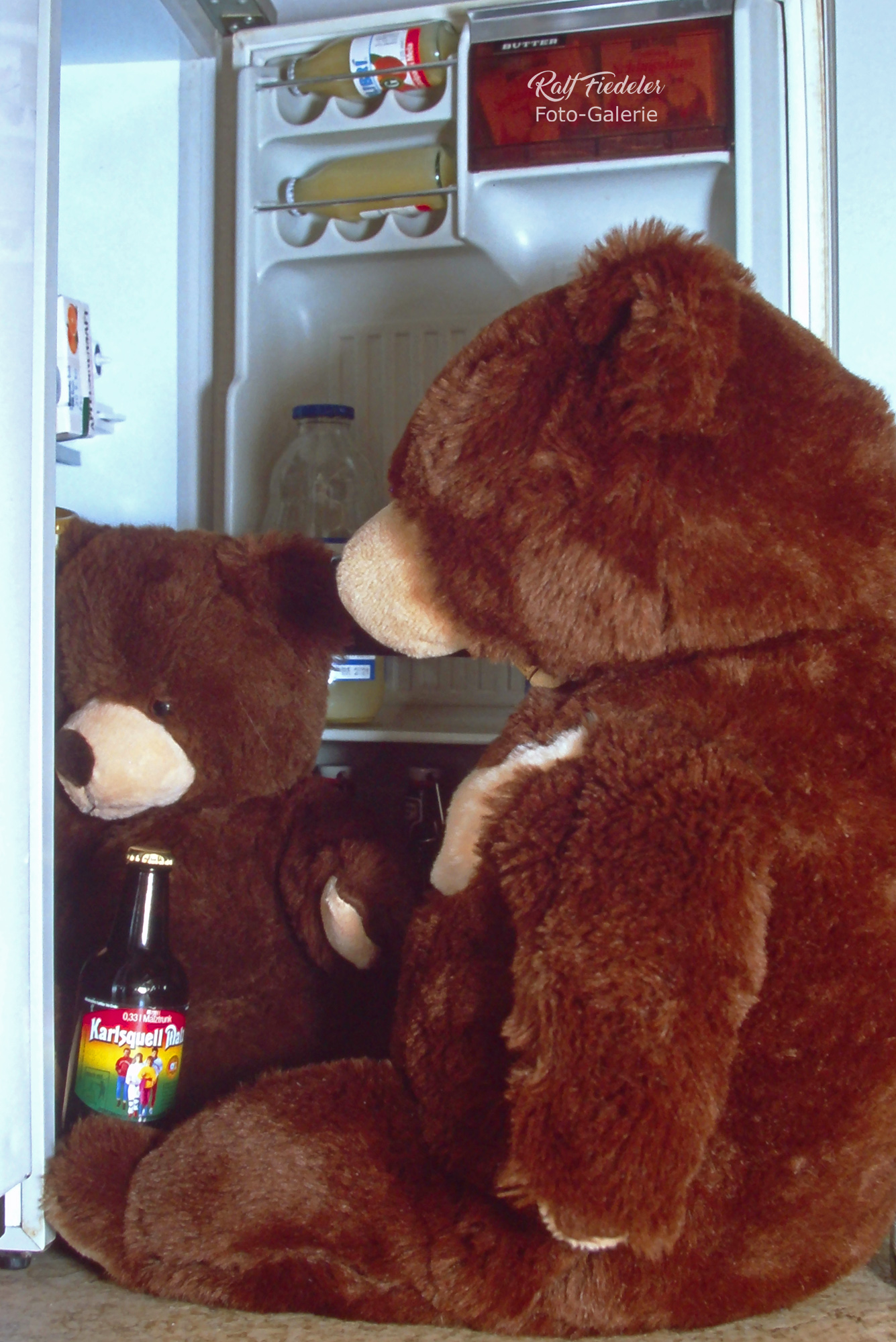 Zwei Stoffbären bedienen sich am Kühlschrank im Abstellraum