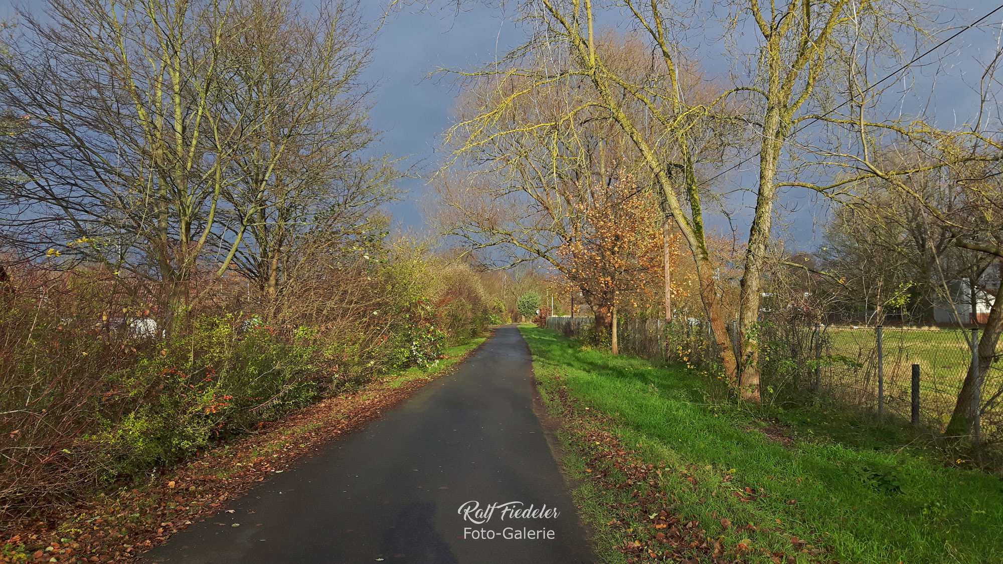 Straße neben der Kleingartenkolonie Sonnenland
