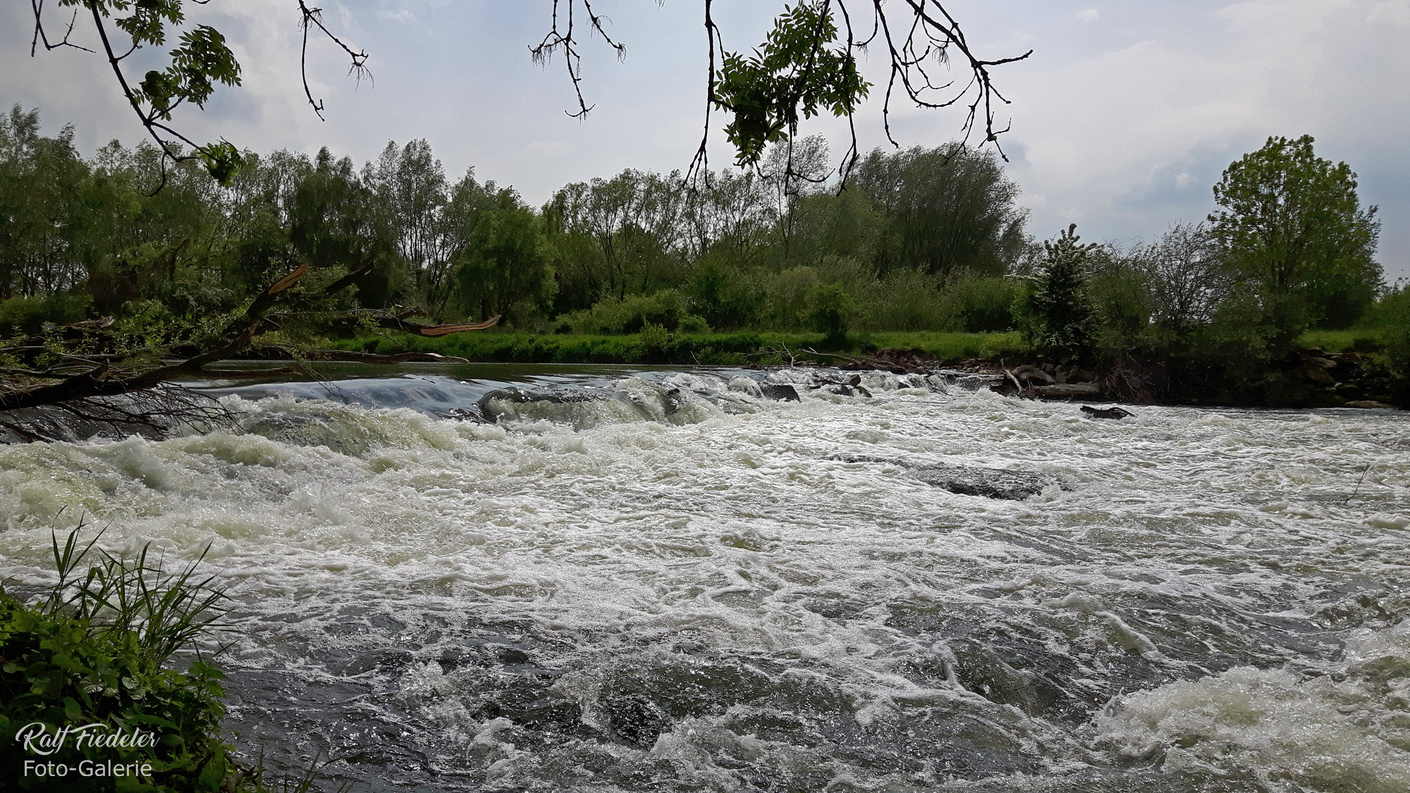Wasserschwellen der Leine bei Neustadt am Rübenberge
