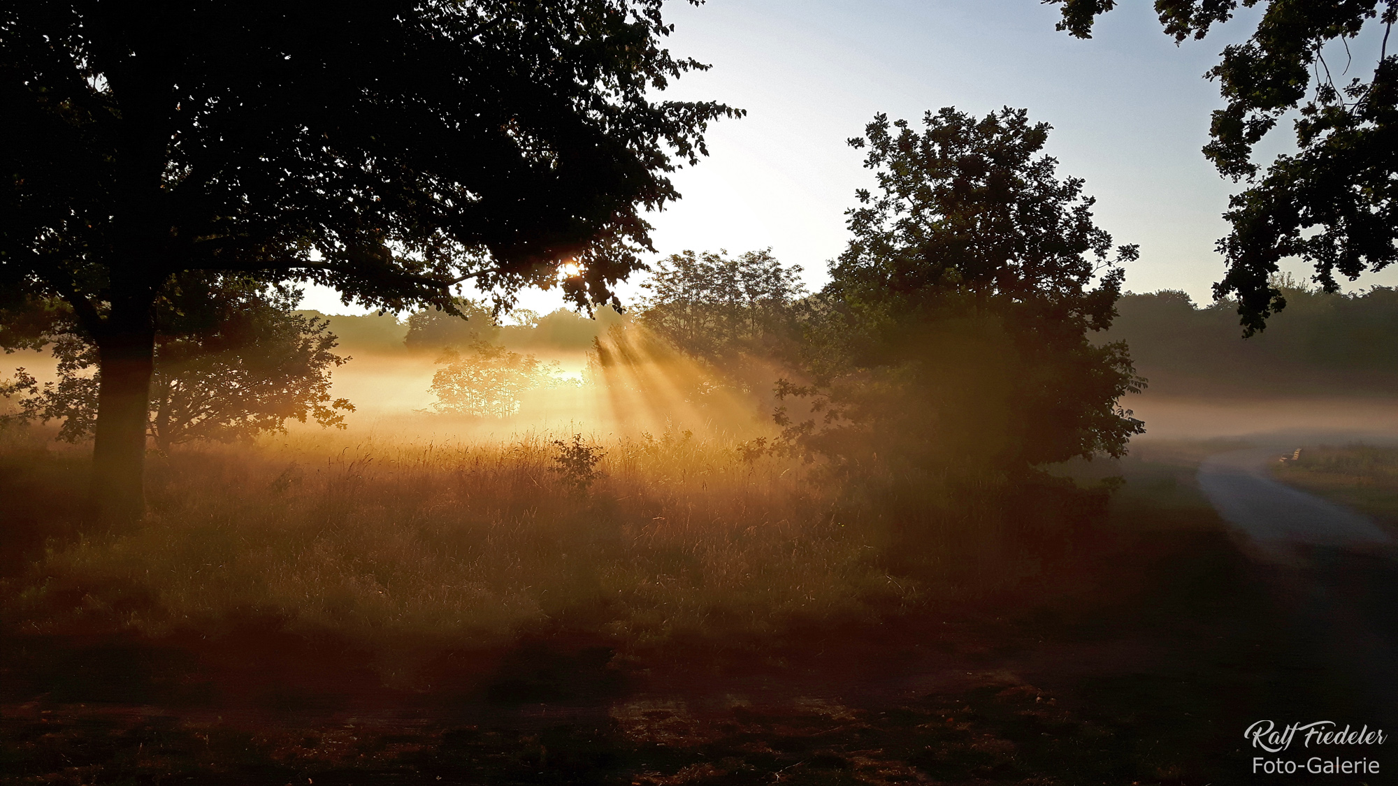 Sonnenaufgang auf der Alten Bult