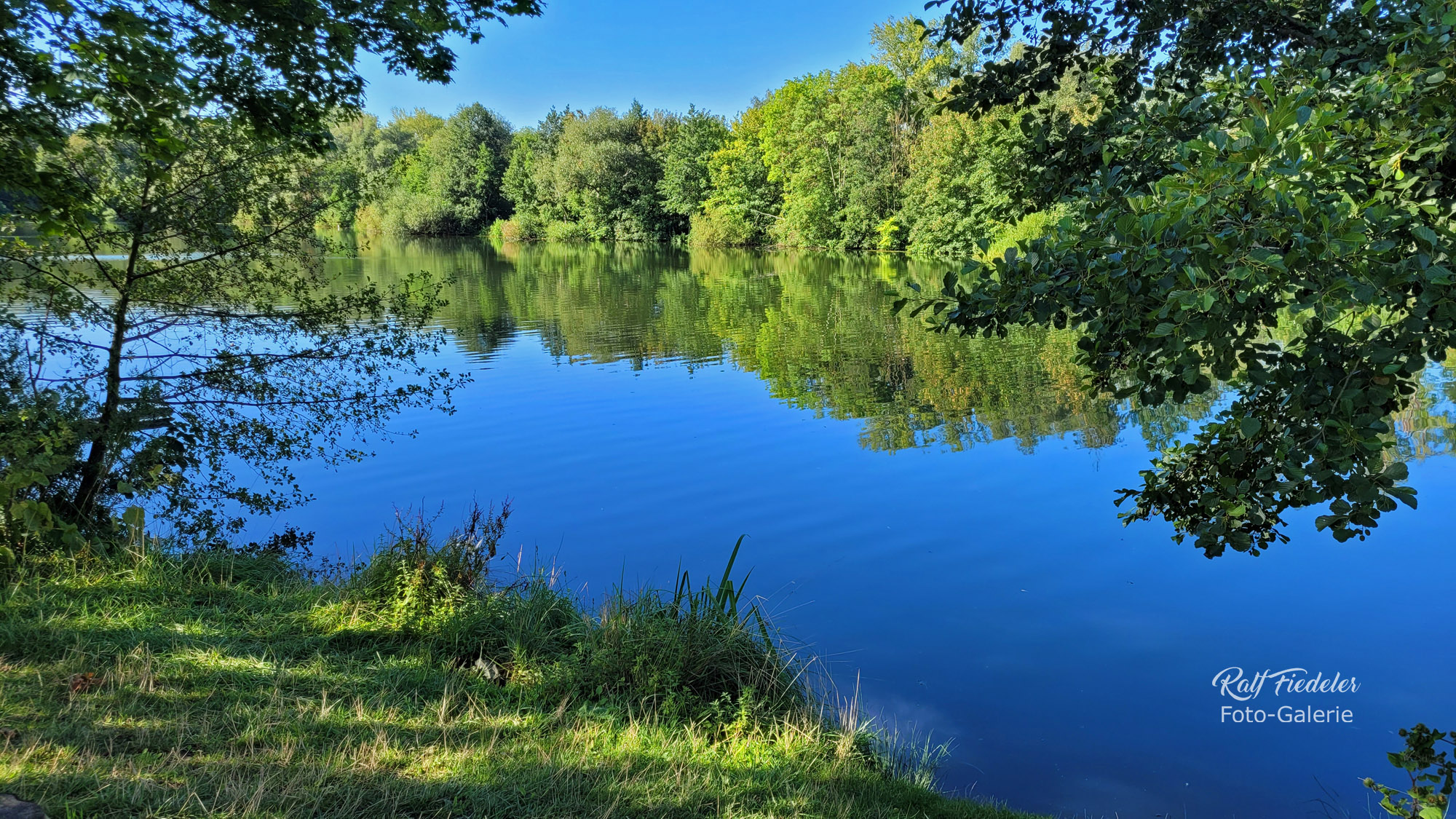 Dreiecksteich in der Döhrener Masch in Hannover