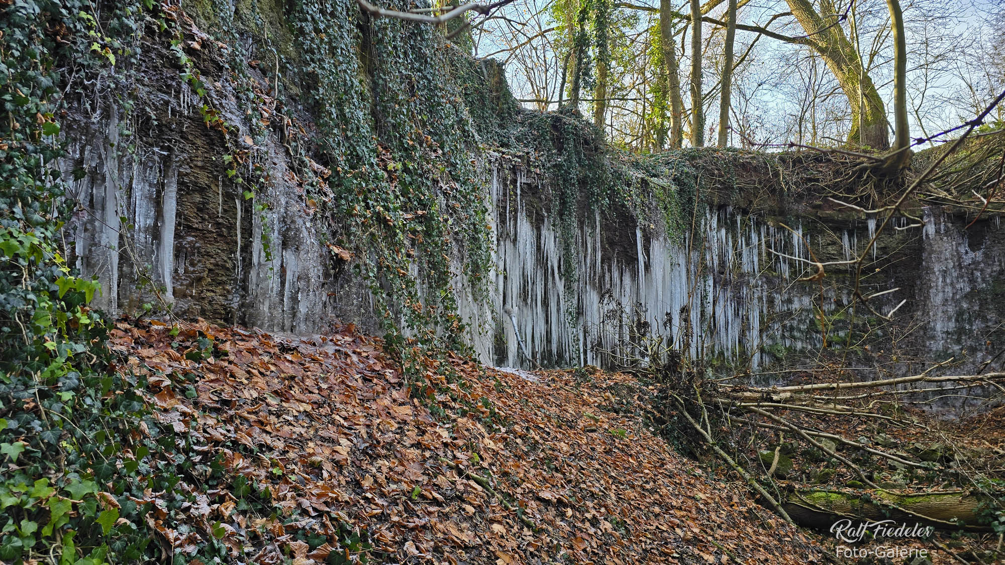 Eiszapfen am Baumbach beim Schafshof bei Hechelbach