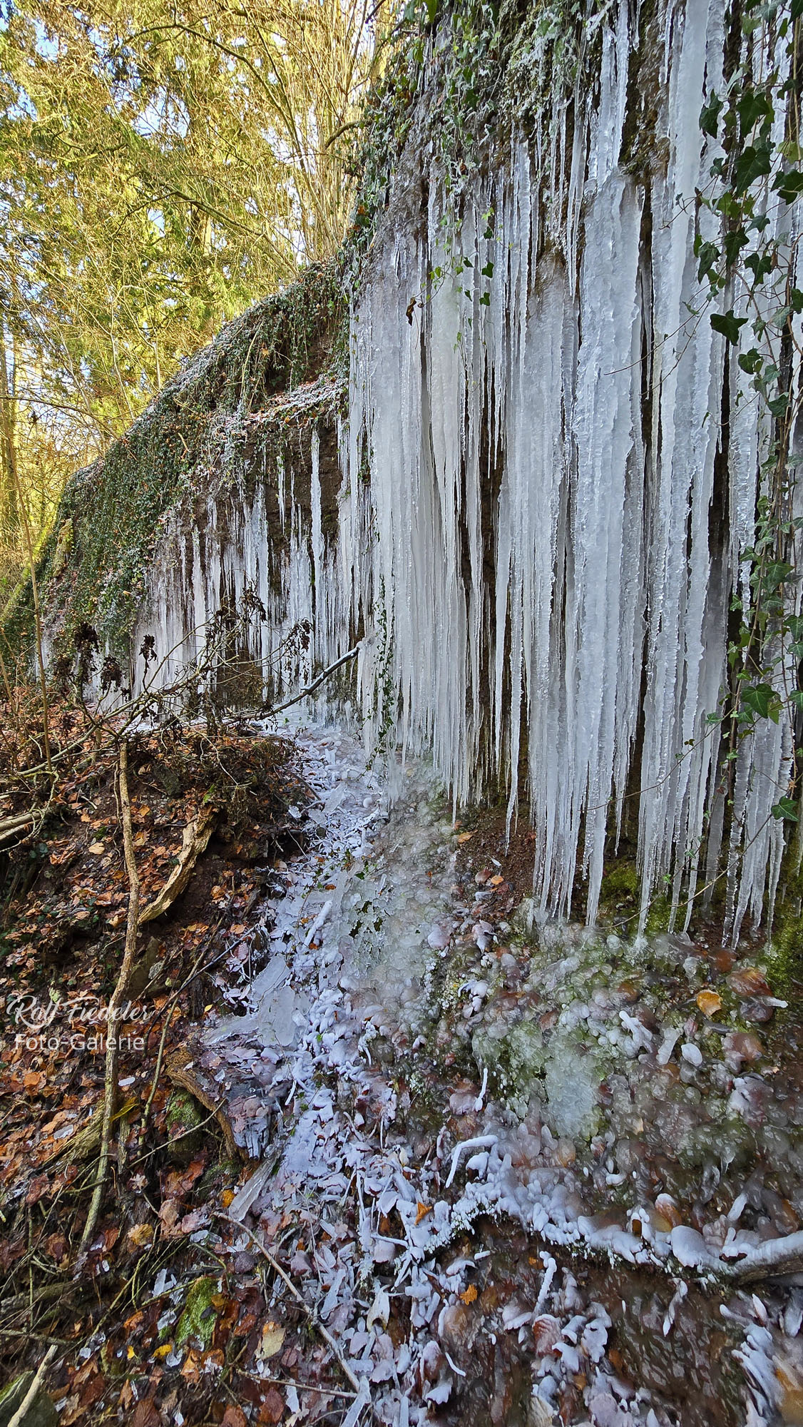 Eiszapfen am Baumbach beim Schafshof bei Hechelbach