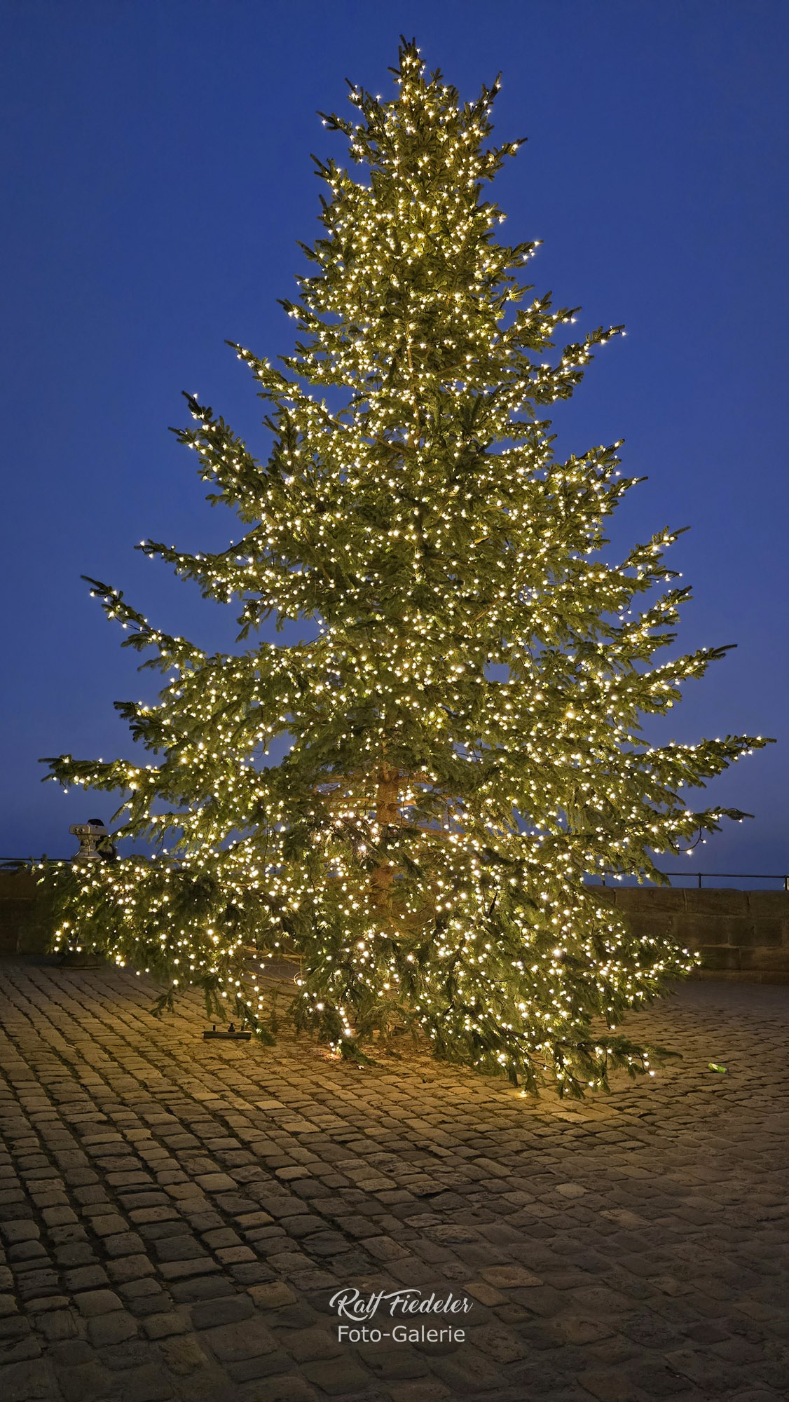 Beleuchteter Weihnachtsbaum auf der Kaiserburg in Nürnberg