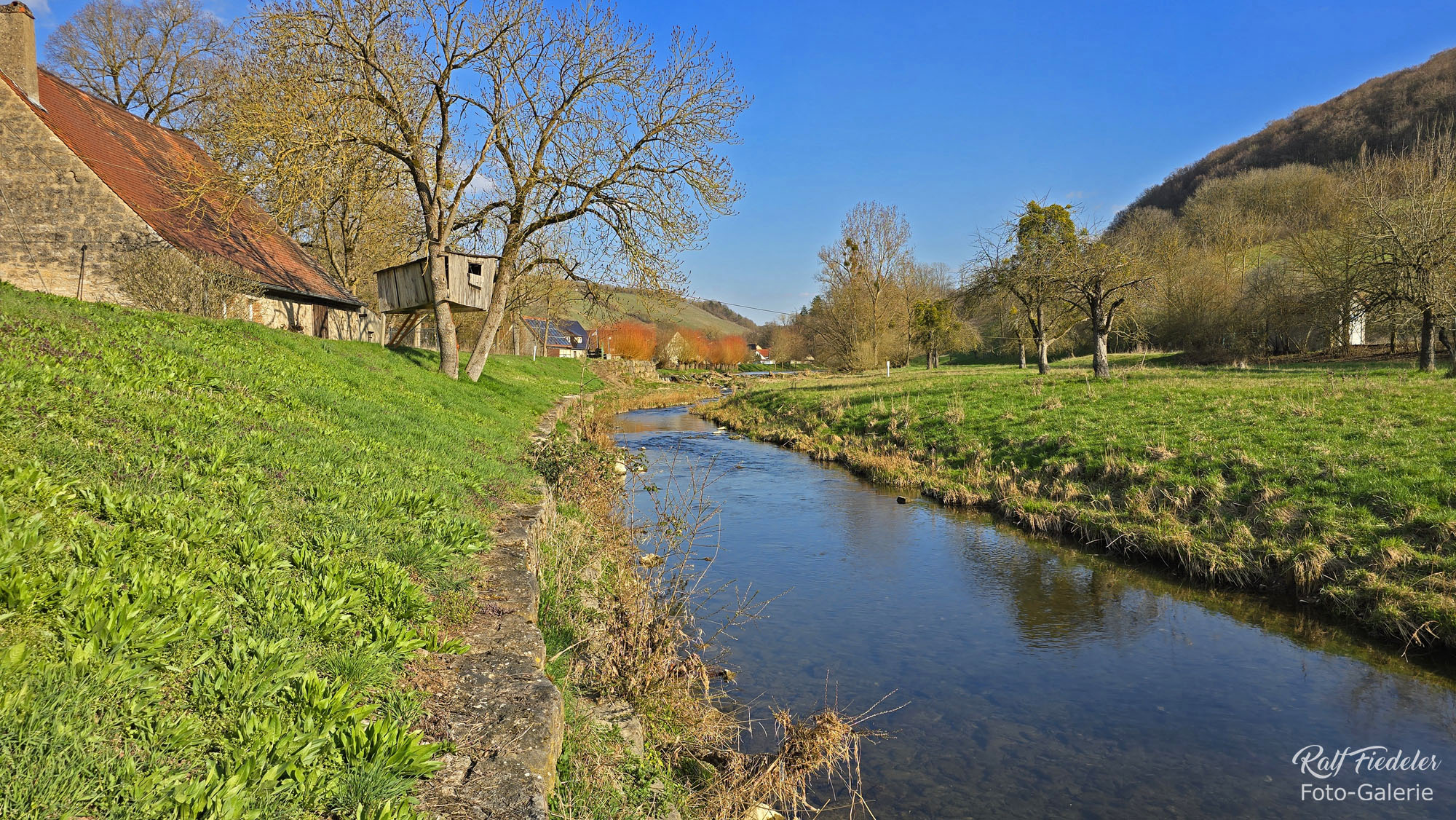 Tauber mit dem Dorf Tauberzell direkt vom Ufer am Ortausgang